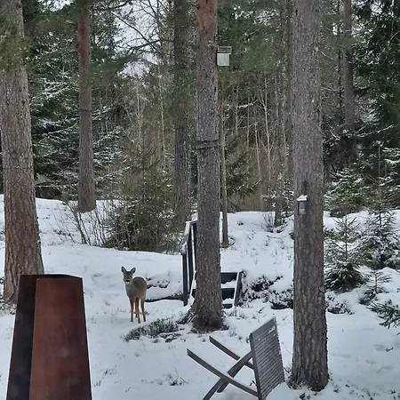 Forest At Branen With Fireplace & Fire Pit *
